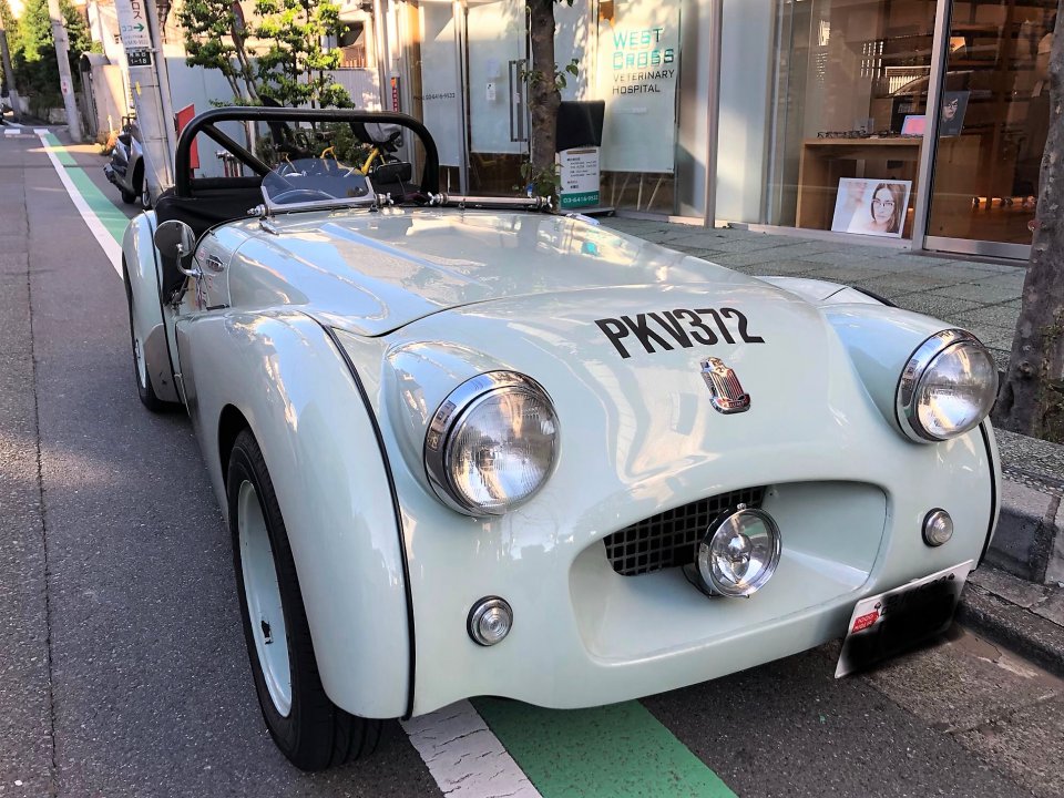 の画像